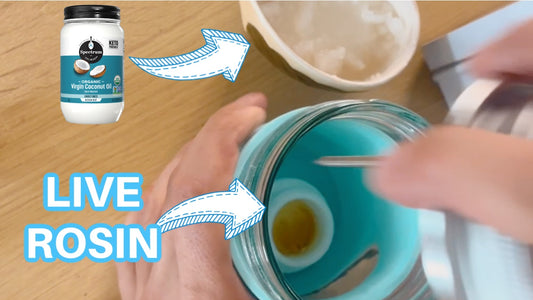 How To Make Live Rosin Infused Coconut Oil With The Mason Pot Kit