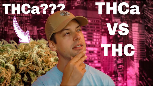 THC VS THCA What Is The Difference